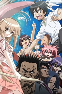 Seto no Hanayome