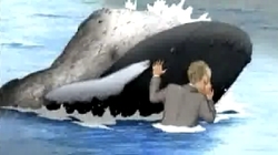 Man & Whale