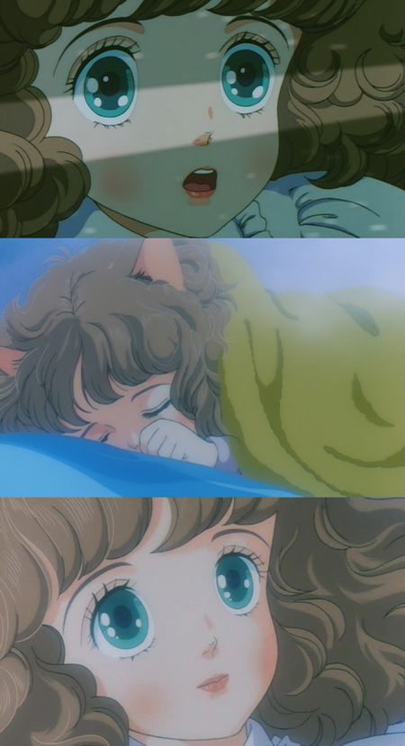 綿の国星
