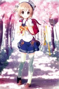 Yotsunoha