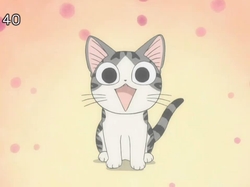 Chi's Sweet Home