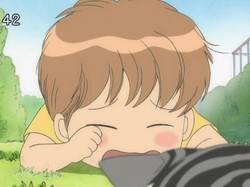 Chii's Sweet Home