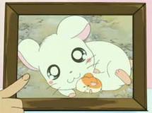 ハム太郎のおたんじょうび～ママをたずねて三千てちてち～