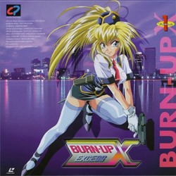 Burn Up Excess