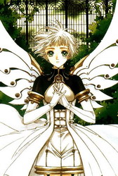 Clover