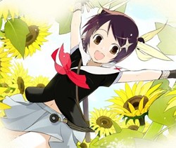 Sunflower!
