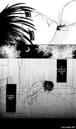 Fruits Basket