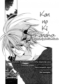 Kon No Ki Konoha